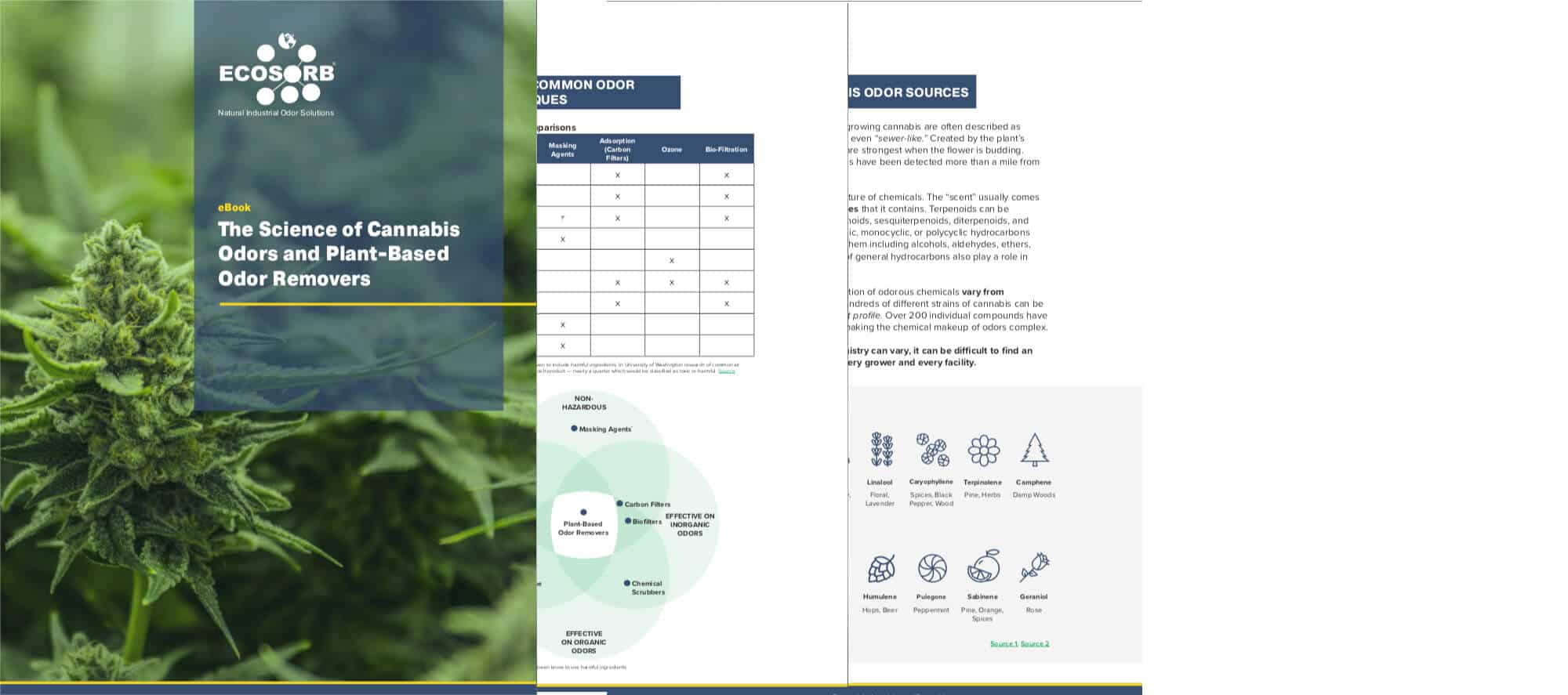 Science of Cannabis Odors eBook Cover