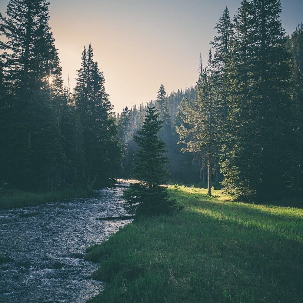 WHY-SAFE-matthew-smith-5939-unsplash WHY-SAFE-matthew-smith-5939-unsplash